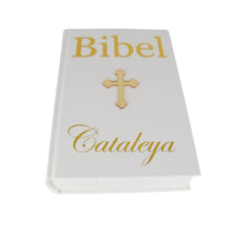 Lade das Bild in den Galerie-Viewer, Bibel mit Vinyl