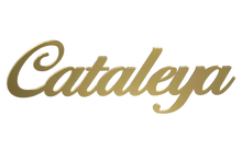 Lade das Bild in den Galerie-Viewer, Namensschriftzug